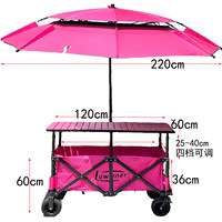 Chariot de courses pliable multifonctionnel en métal à quatre roues, idéal pour les marchés nocturnes, le camping en extérieur, vente chaude, OEM