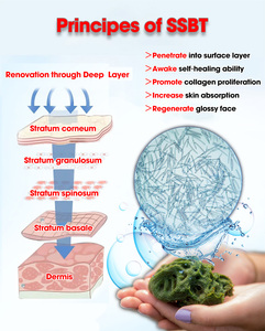 Peeling alle Alghe Verdi <span class=keywords><strong>Bio</strong></span> Needles, Peeling Viso alle Erbe 60%, Bioneedling, Polvere Esfoliante Spongilla - Product Image 4