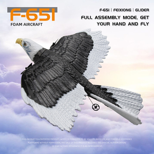 Avion <span class=keywords><strong>planeur</strong></span> en mousse RC FX651, envergure 405 mm, modèle Aigle, radiocommandé 2.4G, contrôlé par application, jouet intérieur/extérieur avec chargeur - Product Image 4