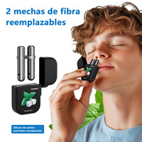 Bâtonnet Inhalateur d'Arômes à Double Trou, Type Flip à Ressort, Bâtonnet Parfumé Portable pour Usage Personnel, Logo Personnalisé OEM, 6 Saveurs Disponibles
