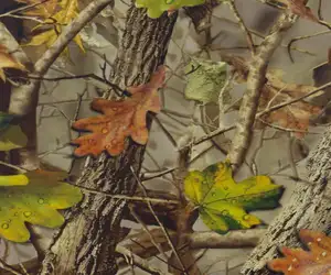 De alta calidad de inmersión película de impresión de transferencia de agua real árbol patrón de camuflaje 50cm de ancho para la caza de productos de nuevo estilo