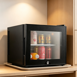 Mini Frigo Termoelettrico Silenzioso da 20L con Porta in Vetro, Luce LED e Display Compatto, Piccolo Refrigeratore per Hotel, Casa e Raffreddamento Bevande - Product Image 3