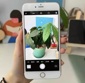 Usato per iPhone 6s Classic con chip A9, 3D Touch, Live Photos, 2GB RAM, 4G/WiFi, batteria in ottime condizioni - Product Image 5