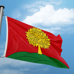 Bandera Patriótica Nacional Personalizada con Impresión Digital en Poliéster, Doble Costura, Bandera Promocional al por Mayor, Oblast de <span class=keywords><strong>Lipetsk</strong></span>, 3x5 Pies - Product Image 2