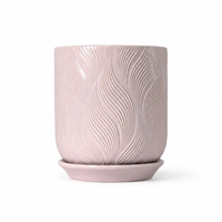 Pot de plante en céramique pour succulentes et cactus, design moderne et simple, petit format, pour la décoration du bureau ou du balcon
