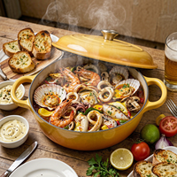 Ensemble de casseroles en fonte émaillée Dutch Oven, antiadhésif, compatible four, induction et gaz, écologique, facile à nettoyer, pour soupes