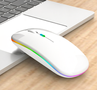 Souris sans fil personnalisée, rechargeable, mince, ergonomique, TYPE-C, verticale, RGB, 4 boutons, souris sans fil pour le bureau