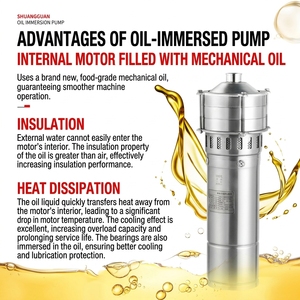 <span class=keywords><strong>Pompe</strong></span> submersible multi-étages compacte série 4.0 QD3/10 220V, résistante aux acides, aux alcalis et aux hautes températures, avec moteur antidéflagrant - Product Image 6