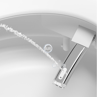 Bidet de WC automatique intelligent de forme carrée articles sanitaires électriques intelligents piège en S compatible avec le drainage télécommande monobloc