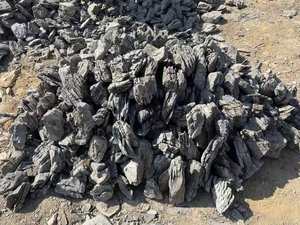 หินตกแต่งตู้ปลาคุณภาพสูงรักษ์โลก จินหนาน โนวา เซริว รุ่น DG-205 รูปทรงกลม บรรจุถุง 25 กก. สำหรับตู้ปลา - Product Image 3