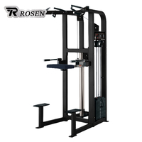 Máquina de Ejercicios de Alta Gama para Gimnasios Comerciales, Entrenamiento de Fuerza, Músculos Centrales, Máquina de Dip y Dominadas Asistidas con Peso