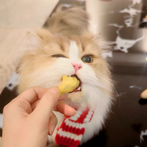 Recepción de Proteína Liofilizada para Gatos, Snack en Tubo para Mascotas - Product Image 2