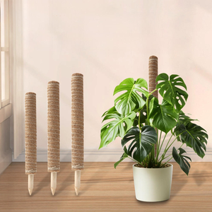 Bâtons <span class=keywords><strong>de</strong></span> coco écologiques pour plantes d'intérieur – Système <span class=keywords><strong>de</strong></span> support naturel pour la culture <span class=keywords><strong>de</strong></span> légumes – Blocs <span class=keywords><strong>de</strong></span> fibres <span class=keywords><strong>de</strong></span> coco – Tailles personnalisables - Product Image 4