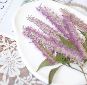 <span class=keywords><strong>Salix</strong></span> con ramas Scrapbooking resina epoxi ecológica Real <span class=keywords><strong>flor</strong></span> prensada DIY - Product Image 4