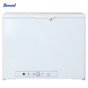 Congelador Horizontal de Gas de Absorción de Amoníaco R717 de 165 l, 2 Vías, Dsg-160b1 - Product Image 5