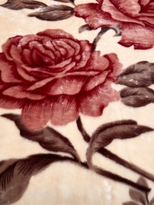 Coperta Invernale Ispessita <span class=keywords><strong>Rachel</strong></span> in Pile Corallo per Matrimonio, Doppio Strato, Calda, Antistatica, Alta Traspirabilità, Singola - Product Image 3