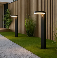Lampes solaires murales à LED en aluminium moulé sous pression, étanches IP44, à faisceau large 360°, rechargeables et à intensité variable pour jardin