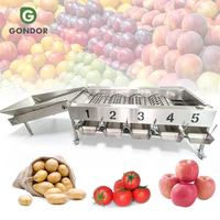 Industriële sorteermachine voor kokosnoot, bosbes, granaatappel, perzik, jujube, knoflook en ander fruit.