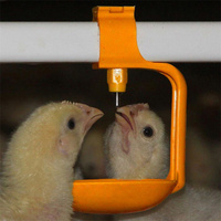 Équipement d'élevage avicole automatique pour poulets de chair, prix usine, vente chaude