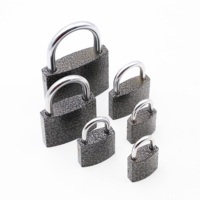 Cadenas miniatures en fer et laiton robustes et résistants aux intempéries avec 2 clés, pour portes de haute sécurité, et fournisseur en gros en Chine Tri Circle