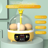 Incubateur d'œufs de poule entièrement automatique intelligent mini-incubateur domestique compact pour enfants modèle USB 4 œufs carré