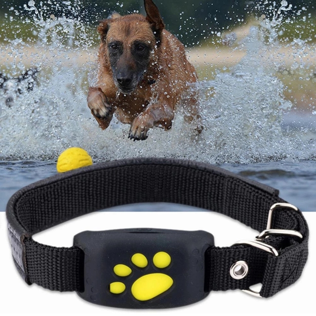 Hot Sale Dog Collar GPS Tracker Cats-Hand Held Real-Time 2G SIM Tracking Device Android App GPS tracker