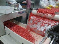 Fraises surgelées IQF de qualité supérieure, fraîches et les plus vendues, pour usage en restauration (vente en gros)