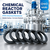Joint en PTFE DSH pour réacteur chimique, pipeline, pompe, vanne, échangeur de chaleur, résistant à la corrosion, joint annulaire plat en PTFE vierge -55°C