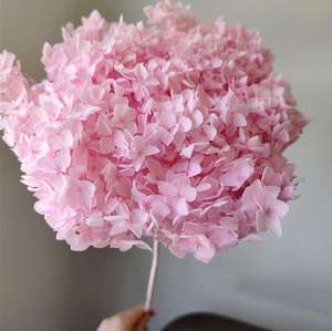 <span class=keywords><strong>Bouquet</strong></span> d'hortensias <span class=keywords><strong>séchées</strong></span> de haute qualité, 24 pièces, petites feuilles, fausses <span class=keywords><strong>fleurs</strong></span>, pour la décoration de la maison - Product Image 4