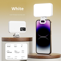 Lampe LED de bureau mini très populaire pour selfie et beauté, idéale pour le streaming en direct et TikTok, avec interrupteur de contrôle et fonction veilleuse
