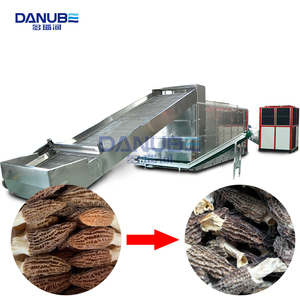 Large Scale Vegetable Mesh Belt Dryer Morchella Cleaning and Drying Line Morel <b>Dehumidifier</b> Processing Machine - Product Image 1