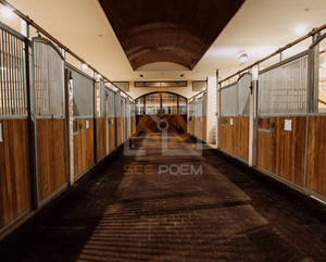 Seepoem Fabricant de boxes pour chevaux mobiles, personnalisées, économiques, faciles à démonter, portables, en métal, pour l'intérieur et l'extérieur, à <span class=keywords><strong>vendre</strong></span> - Product Image 5