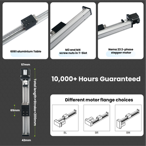 Module de mouvement linéaire à vis à billes HMS40 de haute précision, course maximale de 1000 mm, vitesse de déplacement rapide de 700 mm/s - Product Image 3