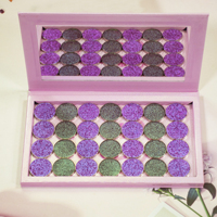 Palette magnétique vide avec miroir, comme un livre Palette magnétique vide rose à la mode et belle