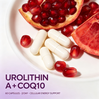 Capsules d'énergie cellulaire Urolithin A CoQ10 OEM ODM Marque Privée Vente en Gros Formule Personnalisée Absorption Rapide pour Suppléments