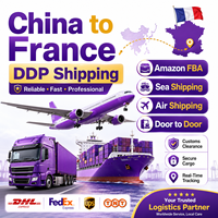 Envío directo de China a la UE con plan de despacho DDP y experiencia local, con servicio completo de recogida, etiquetado y entrega para vendedores de Amazon.