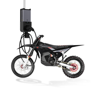 Motocicleta Eléctrica Todoterreno Arctic Leopard EXE880, Potencia Máxima 37KW, Batería de 90V/75Ah - Product Image 2