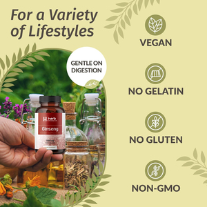 Compléments alimentaires à base de ginseng extra fort OEM/ODM, capsules à base de plantes par flacon pour le soutien immunitaire des adultes, capsules de ginseng - Product Image 4