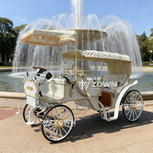 Calèche touristique rétro élégante, électrique ou à chevaux, calèche royale pour la visite des sites touristiques, à vendre - Product Image 3