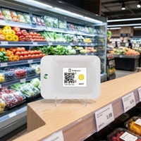 ZenMeasure – Enregistreur de données de température jetable certifié CE, à usage unique, pour la chaîne du froid alimentaire et le transport – Instruments de mesure de température – Vente directe usine