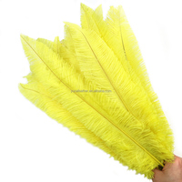Plumes d'autruche teintes de 24 à 26 pouces, plumes de nandou taillées de 40 à 60 cm pour les costumes et décorations de fête et de carnaval