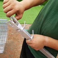Cage d'Élevage Galvanisée pour 120, 128 ou 160 Poules Pondeuses, 4 Niveaux, Batterie à Oeufs, pour Ferme Avicole en Vente
