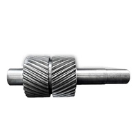 Hot Sale OEM Steel Gear Crank Shaft with High Precision Performance