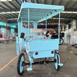 Classic Retro Horse Carriage <b>Double</b>-Row Electric Cart Hotel Hot-Selling Romantic Sightseeing Carriage - Product Image 5