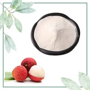 Naturel Fruit Extract Lychi Sap Poeder Lychee Extract Smaakpoeder