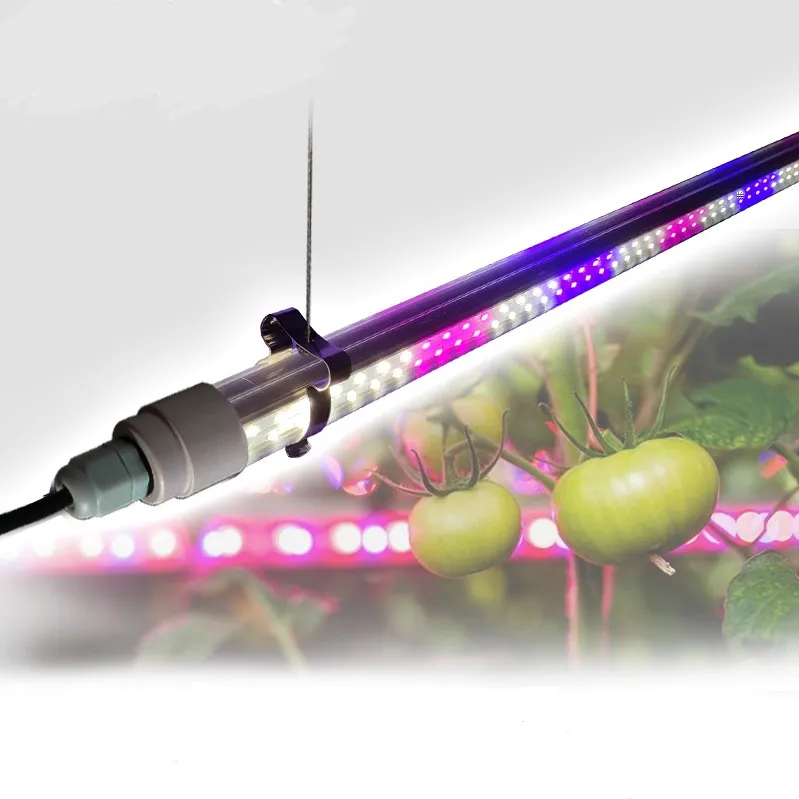Waterproof IP65 1200mm 50W 220V LED Plant Growth light for Tomatoes Cucumber green leaves plants growth full spectrum