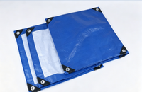 Bâche en PE de toutes couleurs, bâche en polyéthylène avec protection UV, tissu plastique en feuille de taille standard pour l'agriculture/l'industrie