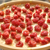 Cerises entières séchées naturelles et sucrées 10kg en conserve, collation saine, vente en gros