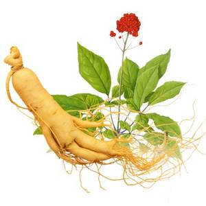En kaliteli ginseng kökü ekstraktı 98% <span class=keywords><strong>ginsenoside</strong></span> <span class=keywords><strong>rb1</strong></span> - Product Image 3