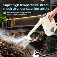Nettoyeur Vapeur Électrique Portable Haute Pression 1200W, Autonomie 12 Minutes, Réservoir d'Eau 360ML, Multifonctionnel Portatif pour Maison et Voiture